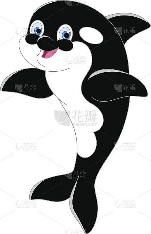 虎鲸
