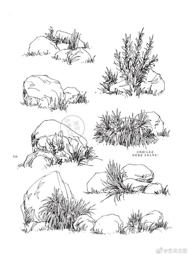 植物速写2
#艺术之路# #速写# ​​...
