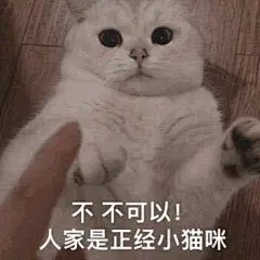 沙雕表情包更新，拿图互动

老子的爱收好
这位女士，请你冷静一下
简直不能看
鸭了个鸭
你不要我了吗...展开全文c