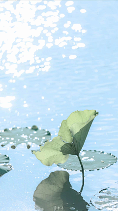 Aprilless采集到风景摄影