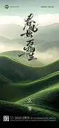 立春节气祝福实景感全屏竖版海报AIGC
