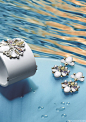 Swarovski施华洛世奇2013春夏系列新品