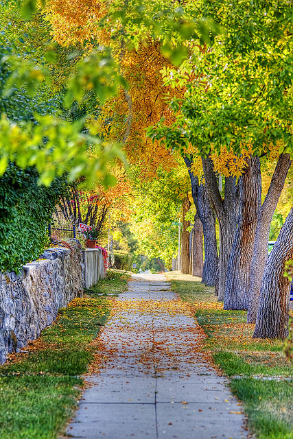 秋天的人行道，海伦娜，蒙大纳