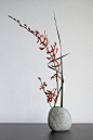 Ikebana 'Red orchid' - final attempt | Flickr - Photo Sharing! 