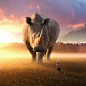 Digital-Imaginary-Animal-Art-Ebenism