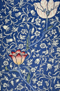 william morris