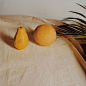 fruit photographed on tan linen with palm leaf. / sfgirlbybay