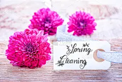 标签上有书法春扫除，三紫花绽放