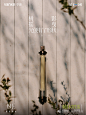【作品】万科爆款图文小绿书视觉欣赏