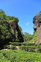 阿里巴巴菜鸟产业园·嗖嗖鸟社群齐聚武夷山——正山堂茶旅游学_进行 : 阿里巴巴·菜鸟产业园 嗖嗖鸟社群 齐聚武夷山 参与为期三天的正山堂武夷茶游学 来自五湖四海的嗖嗖鸟会员 在骏红武夷茶体验馆相互认识 品饮武夷·特色茶 展开为期三天的习茶之旅 走访三坑两涧 欣赏其中的美景 呼叫