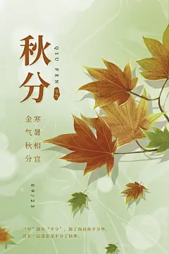 秋分节气中国红枫叶海报 