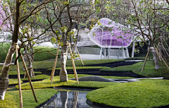 00喜羊羊00采集到水景