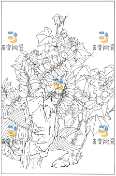 K24064-芙蓉10.jpg