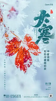 浅色实景照片大寒节气祝福手机海报
