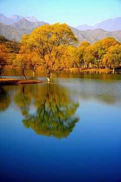 当下采集到风景