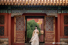 隔壁的大兔子采集到摄影