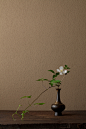 日本当红花艺大师川瀨敏郎(Kawase Toshiro)是“自然野趣流”的代表人物，他喜欢用一些古老、质朴、布满历史痕迹的器皿当做花器，依据时节到山野里找最当令的花叶，融入花器中，并持续在新潮社网站上连载“一日一花”专栏。