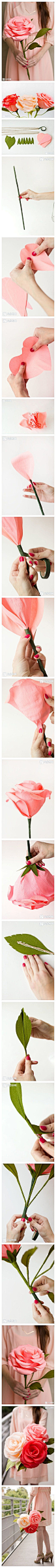 手工DIY 纸艺 手作 教程 教你手工制作巨型纸玫瑰 