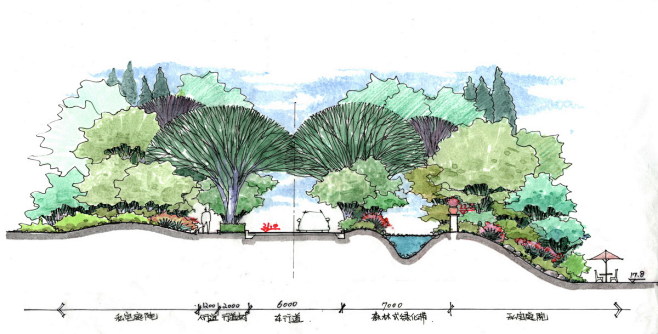 手绘景观剖面集