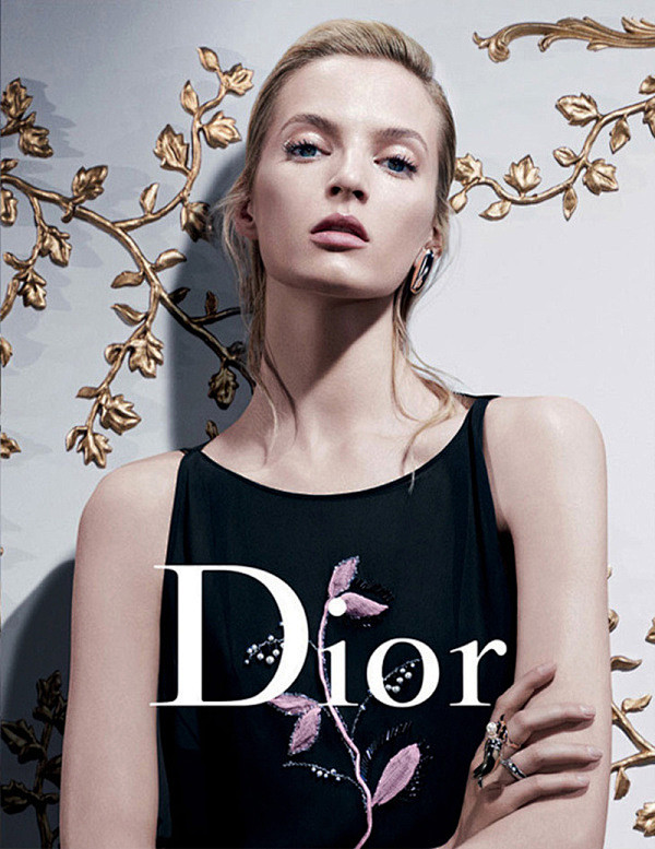 Dior 2013 Fall/Winte...