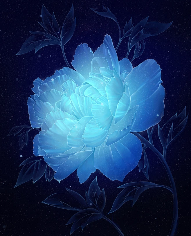 夜晚的花朵-ANKEL_花,插画_涂鸦王国插画-花瓣网