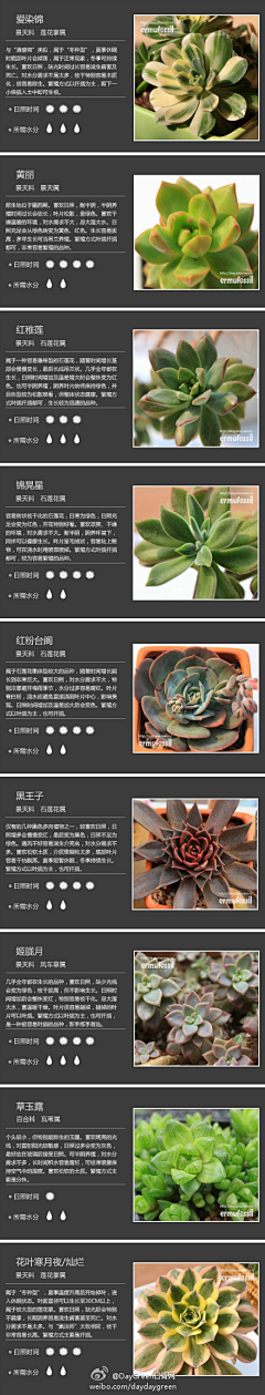 JULYEUNG采集到植物