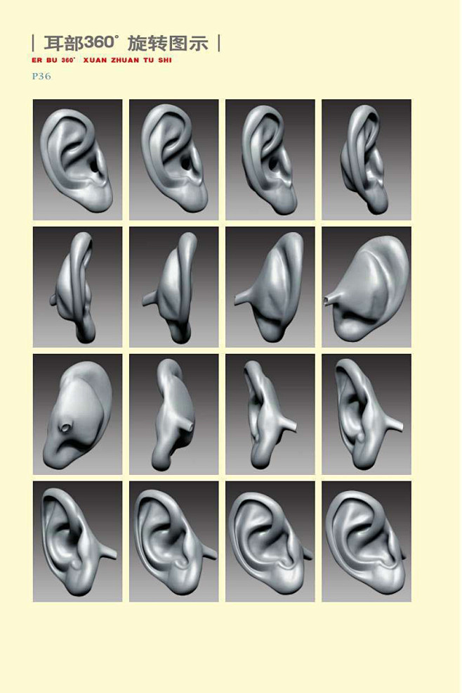 素描耳朵 (4)