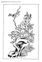 花朵树枝上停立的喜鹊白描图白描图|传统图案|花朵|矢量素材|矢量图|树枝|喜鹊|矢量素材　矢量花朵|情人节矢量素材矢量图|矢量素材矢量罂粟花纹|矢量森林矢量素材