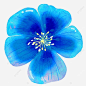 藍色的花, 花, 藍色的小花, 和風裝飾 PNG圖案素材