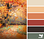 Design Seeds : Design Seeds color palettes ... posted daily for all who love color.