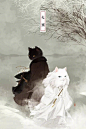 今日大寒，我在春天等你 ——-观复猫 2北京·观复博物馆 ​​​​