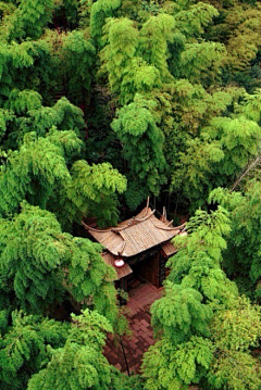 禅宗花艺大师采集到禅.茶.一味