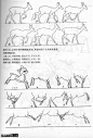 四足动物的运动规律 <wbr>并附经典参考图讲解