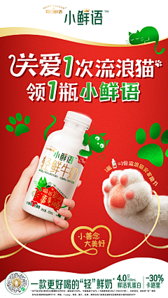 翱翔的鱼儿采集到蒙牛