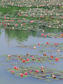 幽幽沁月采集到素材-风景图