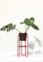 Bauhaus-Inspired BonBon植物架系列，美丽的植物会带给人一天愉快的心情~~
全球最好的设计，尽在普象网 pushthink.com