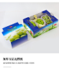 阳光玫瑰晴王葡萄包装盒日本青提通用礼品盒空盒子6-8斤水果礼盒-淘宝网