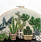 刺绣艺术家Sarah K. Benning长期旅居在阳光灿烂的西班牙梅诺卡岛，她按照家中绿植的模样妙“手”生花，绣出了一个清新美丽的植物园。 图 via Sarah Benning's instagram