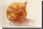 Miwa Aoki Watercolor Gallery