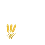 小满节气手绘扁平风动态贴纸