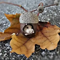 一起挖脑洞吧~插画素材分享