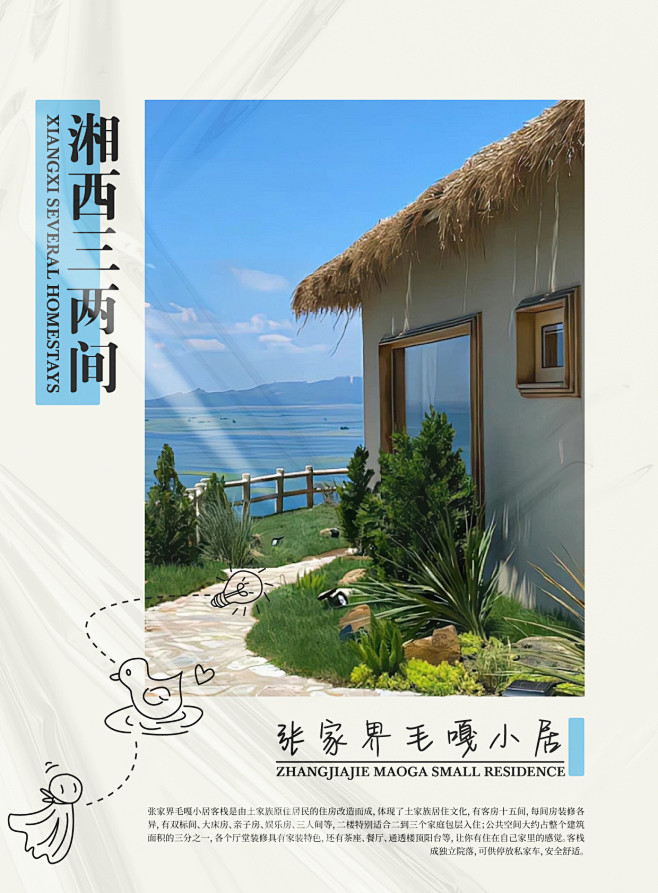 罗宾4_画板 1 副本