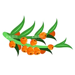 植物    - 源文件下载【酷图网】植物,花卉,叶子,花,手绘植物,手绘花,植物素描,花素描,线稿花卉,线稿植物,手绘花朵,植物花纹,春天藤蔓纹理,手绘藤蔓,手绘树枝,手绘树叶,手绘花草,质感植物纹理,植物底纹,花边花纹,花草纹理,复古植物底纹,复古花纹,纹理边框,海报,婚礼,广告,手机壳,印花,包装,底纹,背景墙,装饰画,复古植物,