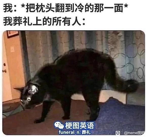 发一些自己存的meme_meme图吧_百度贴吧-花瓣网