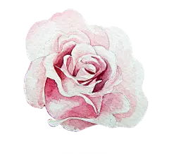 手绘花 蝴蝶 叶子 花环 钻石 花瓣 png素材
