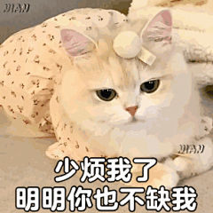 @表情包文案社 的个人主页 - 微博