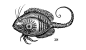 Steven Noble Creatures II Collection
Behance 插画 单色插画