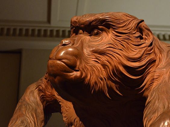 Wooden gorilla: