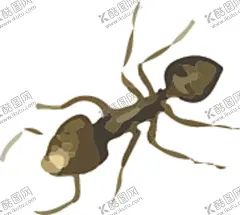 蚂蚁昆虫插画 【酷图网】手绘插画,水彩画,卡通画,昆虫,蜈蚣,蜻蜓,蜘蛛,昆虫系列,复古,昆虫纲,动物界,节肢动物,蝴蝶,大自然,卡通,剪影,户外,野外,精美,装饰,背景,底图,触须,甲壳虫,设计元素,啮桑,啮发,天水牛,八角儿,牛角虫,花妞子,插画,绘画,矢量,标本,动物,昆虫类,生物世界,自然昆虫,标本插画
