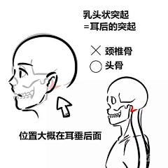 木木嘛采集到身体